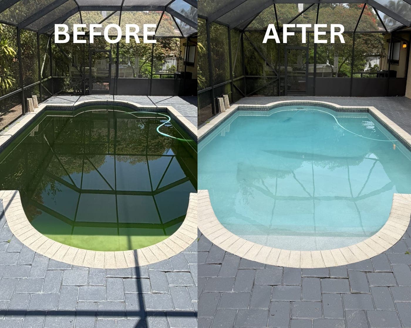 Green pool → crystal clear — pool project in Coral Gables by JAF Pool & Patio